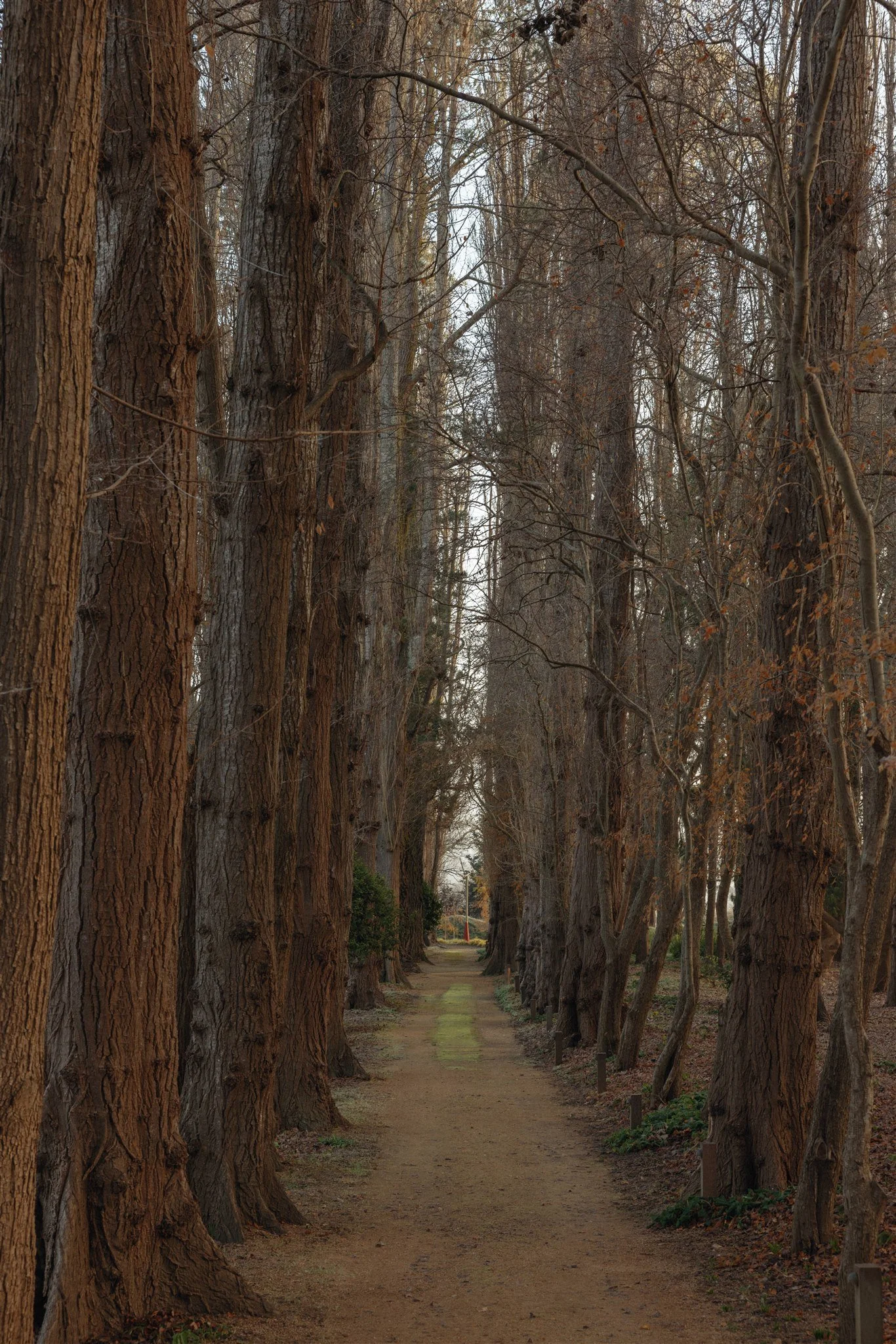 Mona-Farm-Winter-by-Corinna-&-Dylan_035(1720).jpg