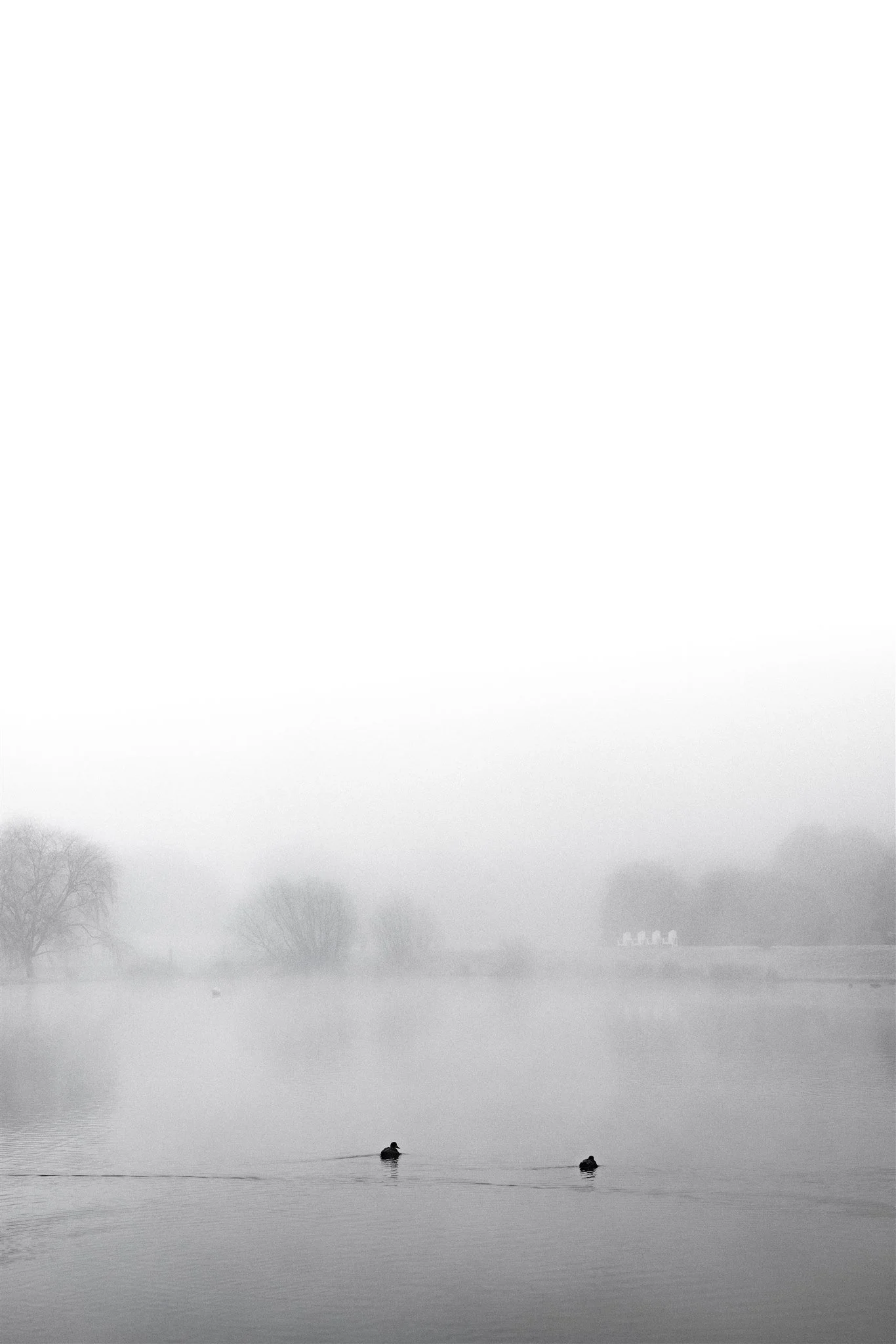 Mona-Farm-Winter-by-Corinna-&-Dylan_027(1704).jpg