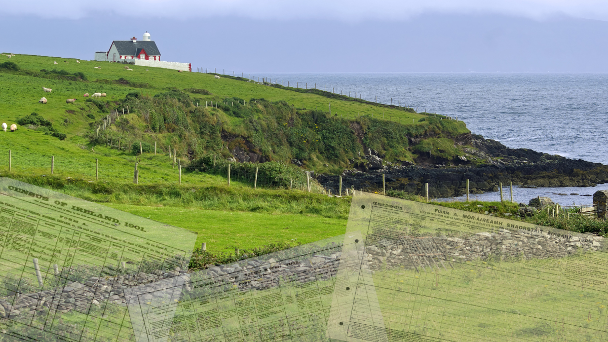 Irish Genealogy in Action: Tips, Tools &amp; a 1926 Census "Party"