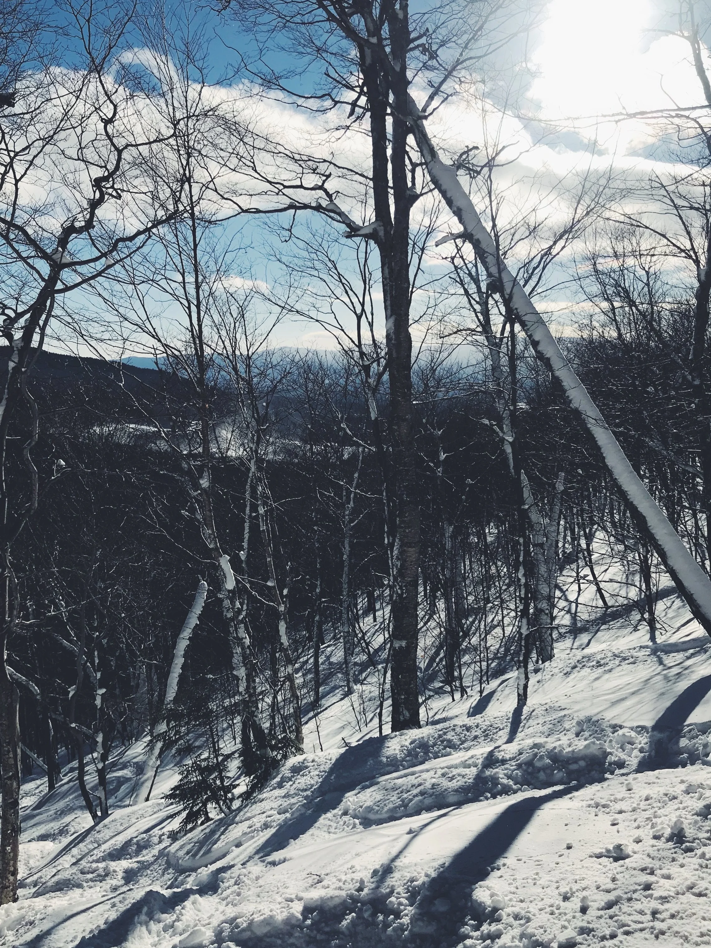 Angel Food — Stowe, VT.