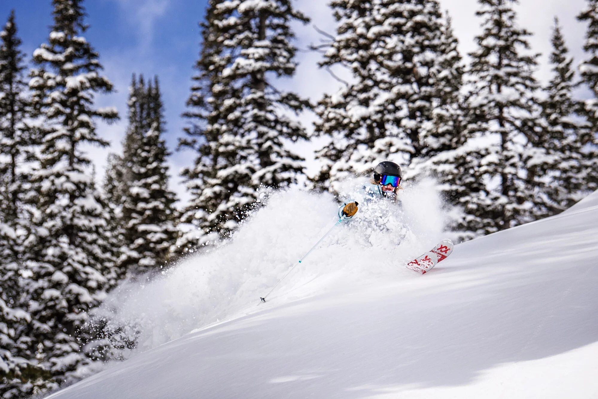 Work Hard, Play Hard Mentality