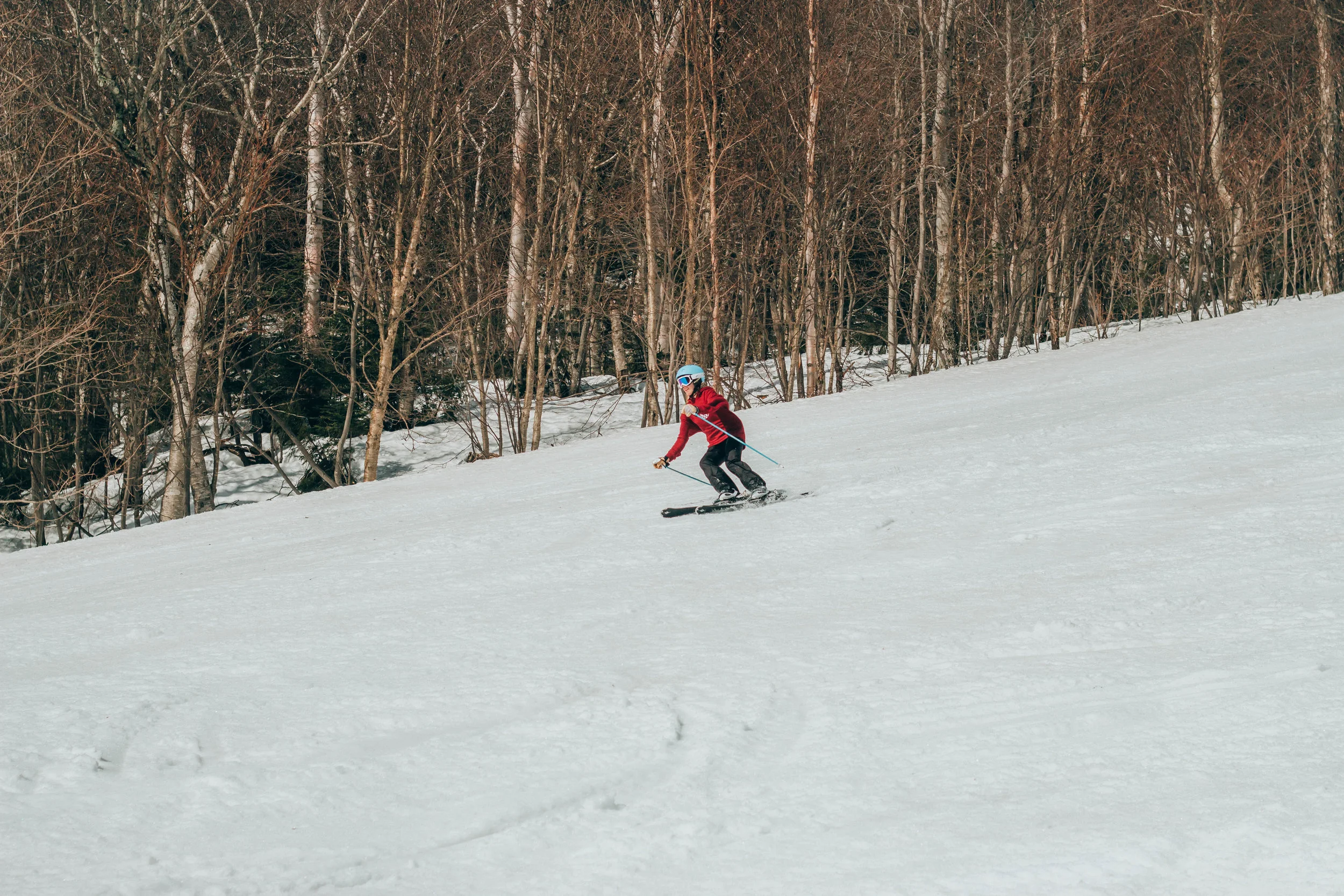 NEW UVMSSC Ambassador Program