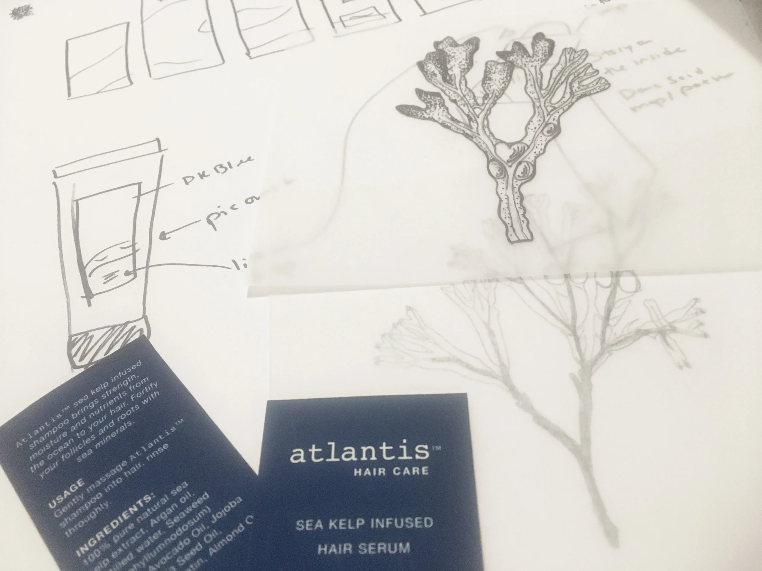 atlantis process pic.jpg