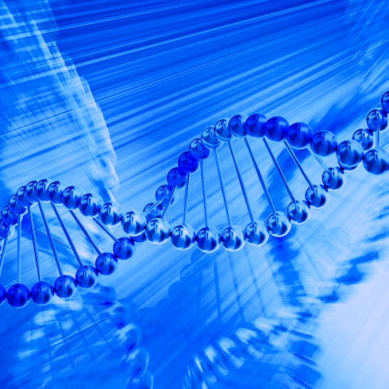 DNA contains genes important in FTD