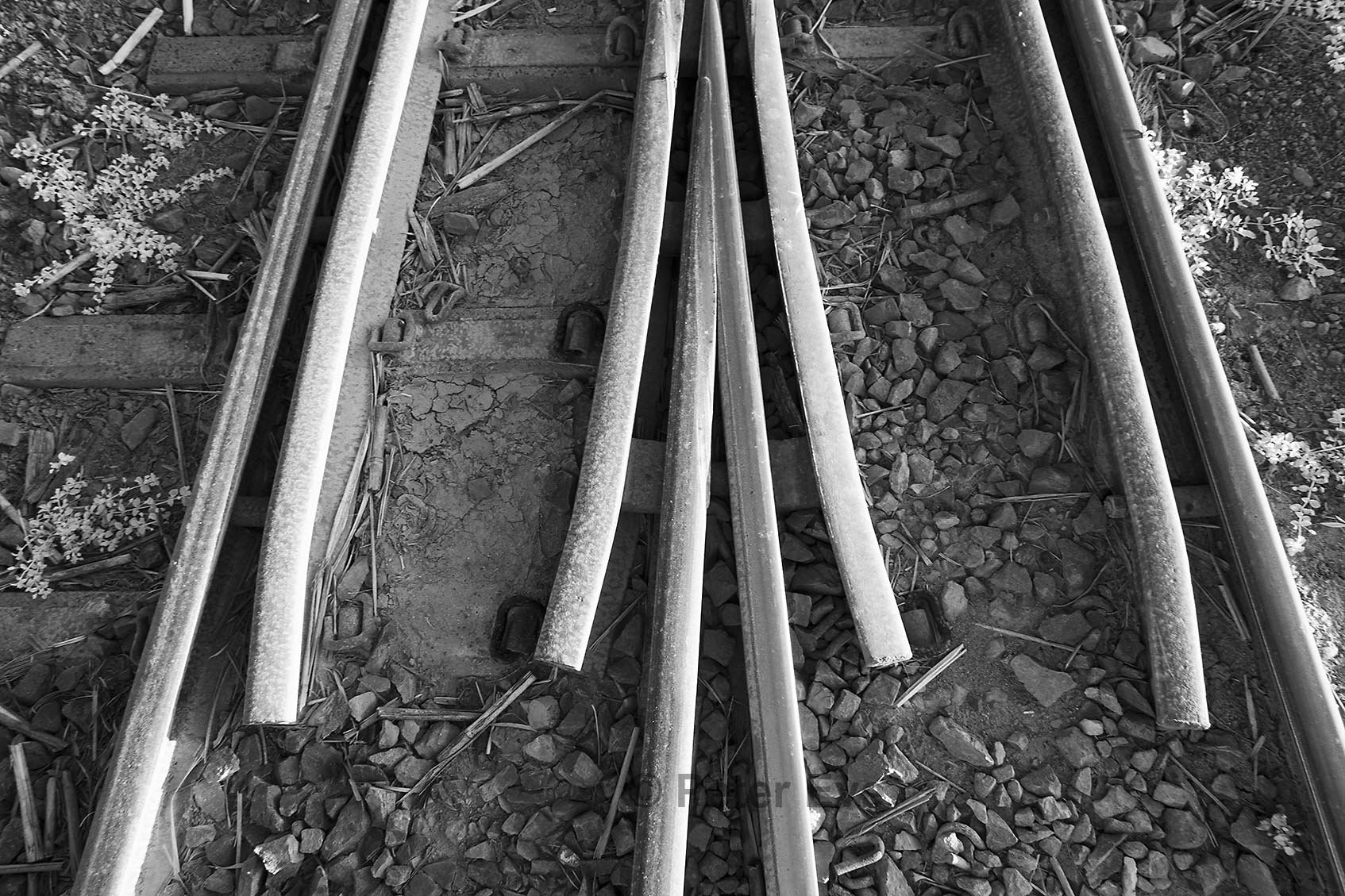 22 Sugar Cane Railway Detail