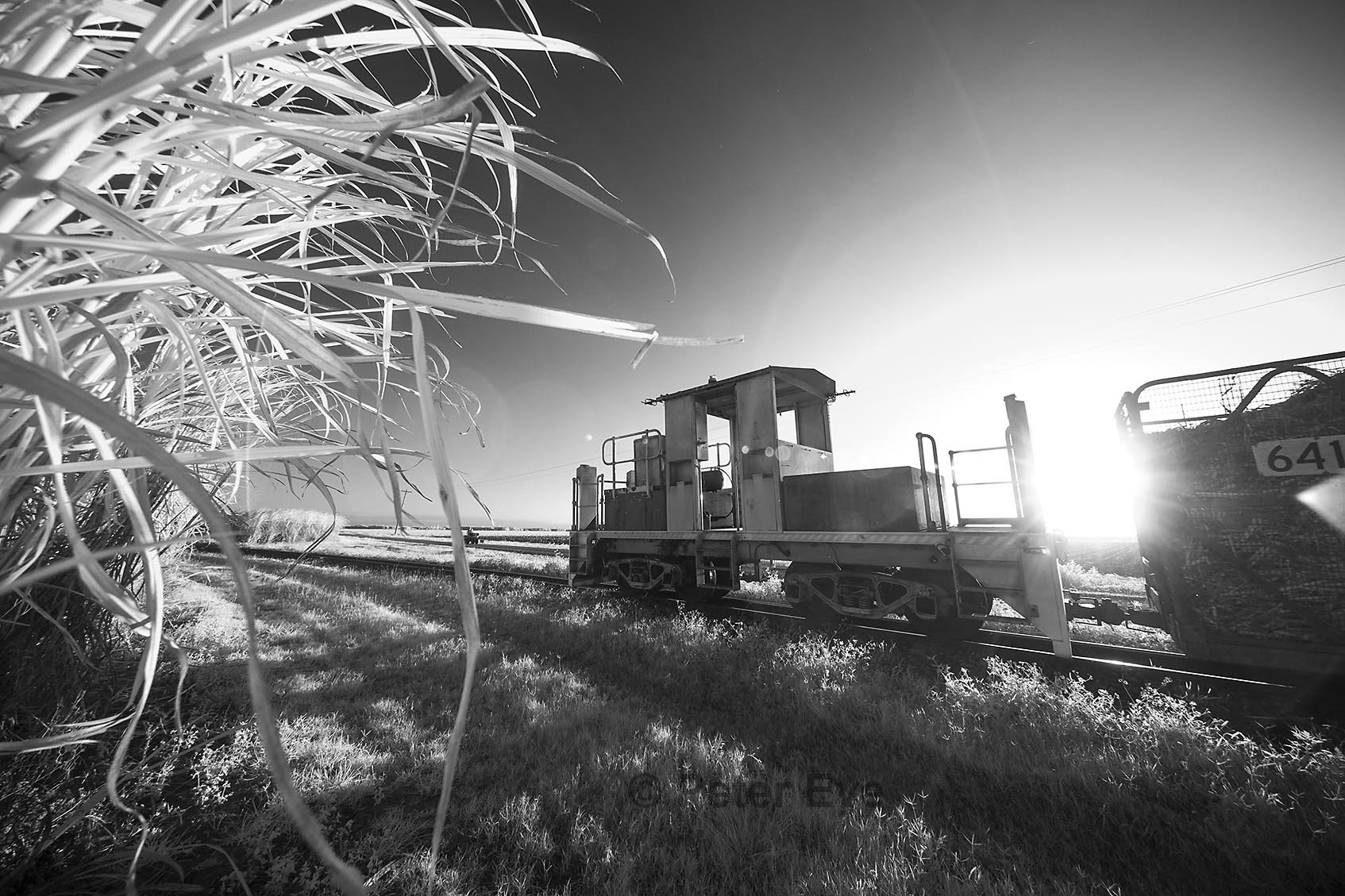27 Sugar Cane Railway Train