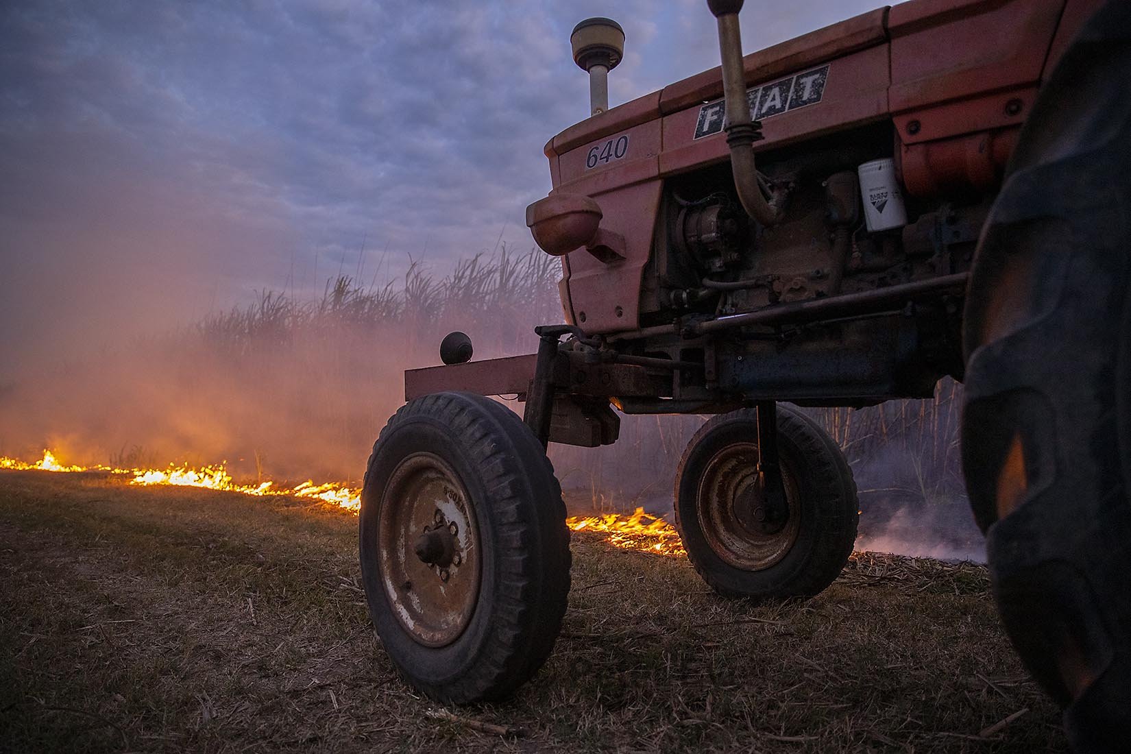 51 Tractor on Cane Fire Border 