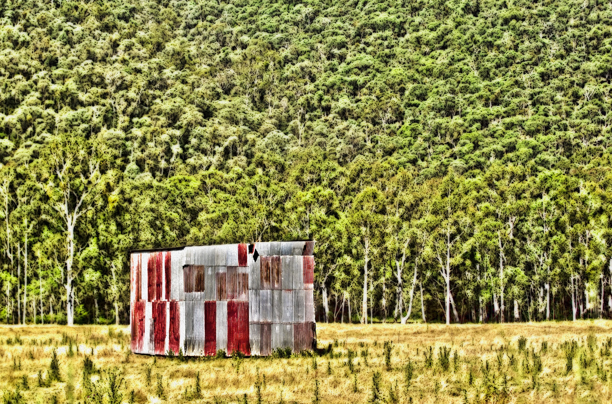 Corrugated vernacular tin shed