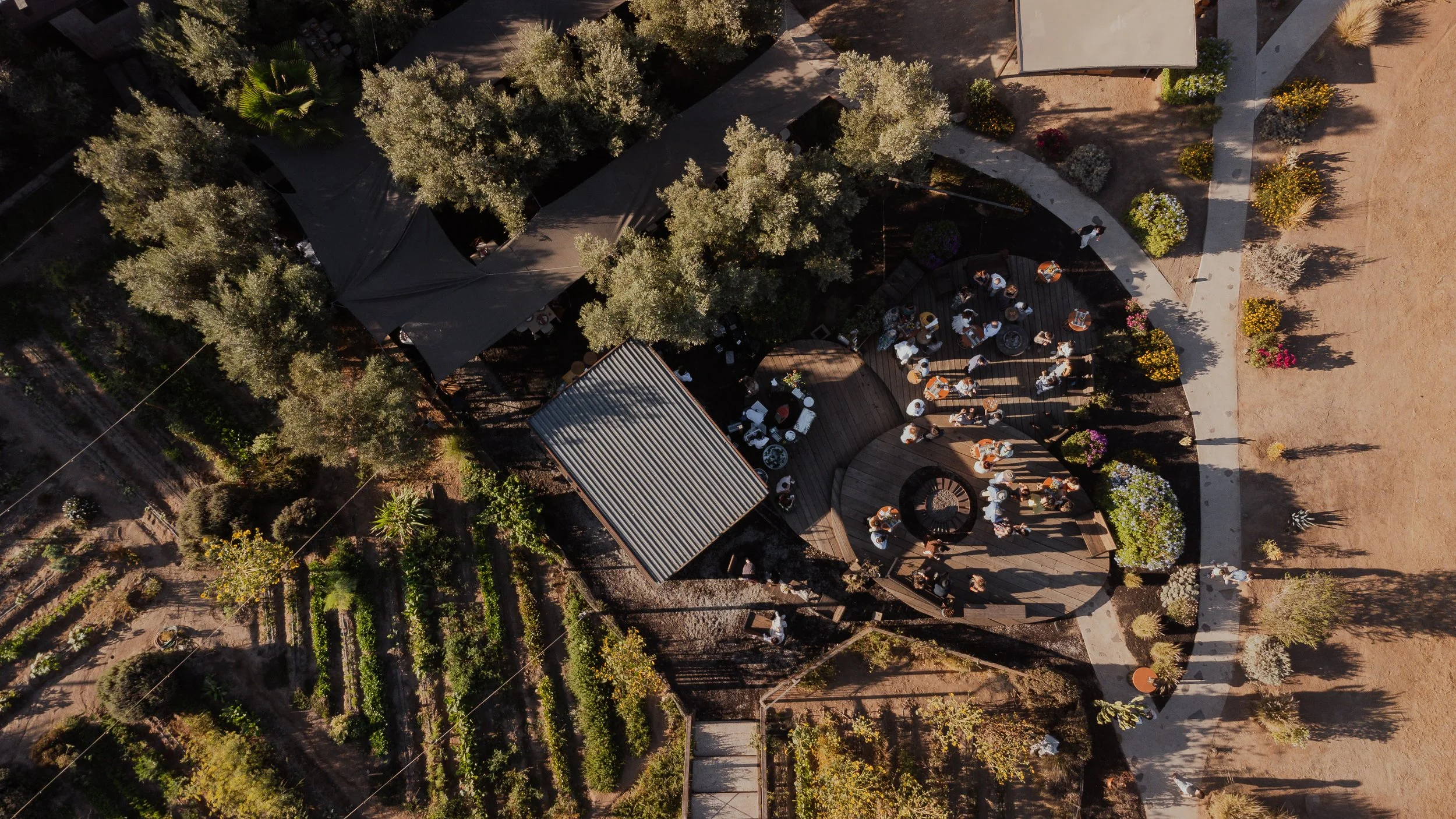 20230812-DJI_0882.jpg