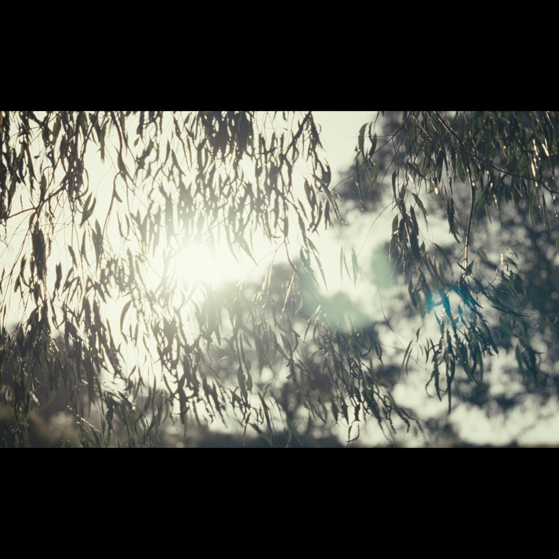 The Long Day Insta_1.53.1.jpg