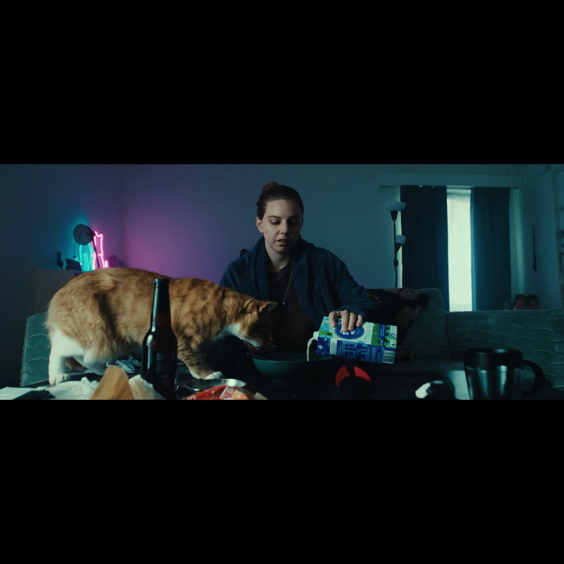 Freelance Ins_1.27.1.jpg