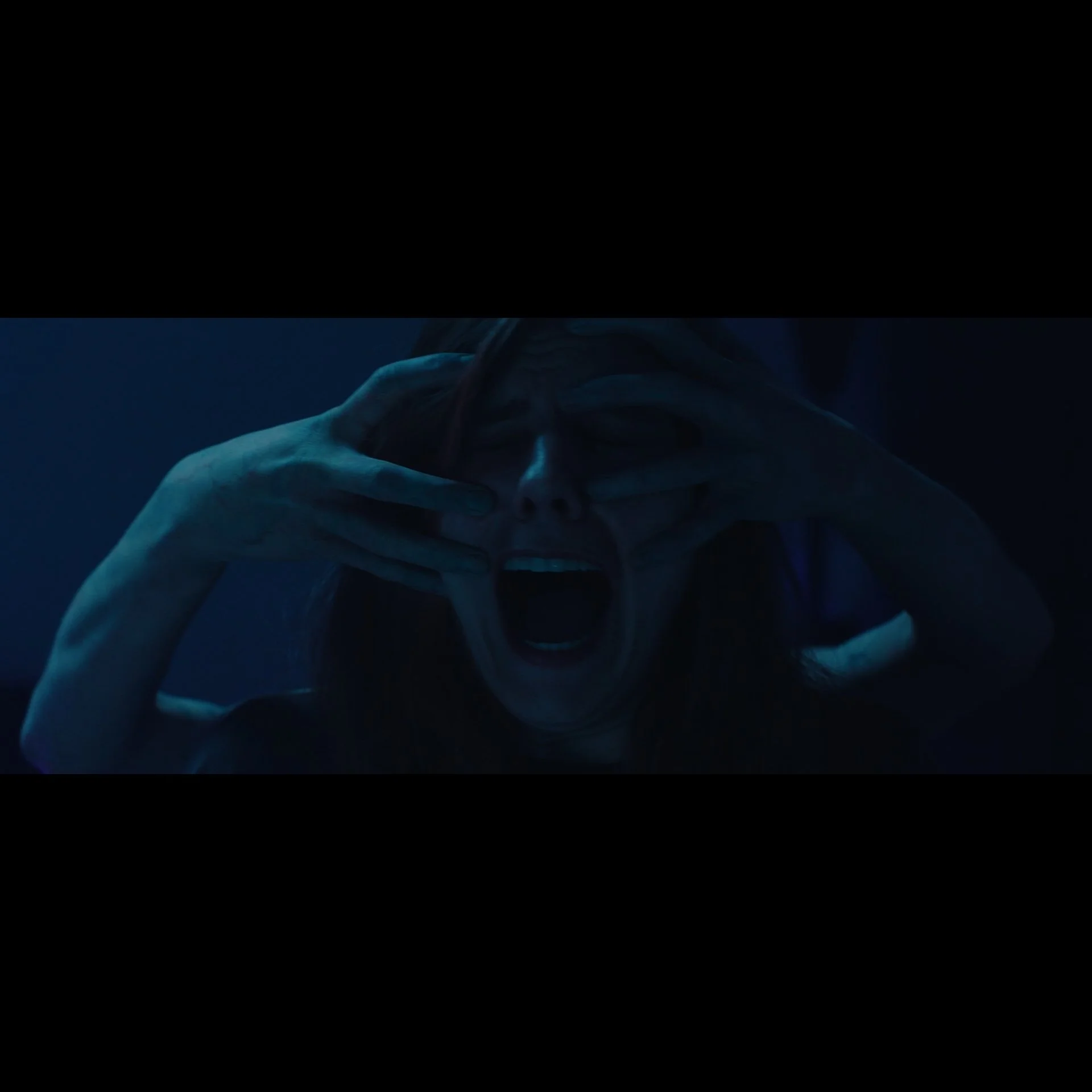 Freelance Ins_1.99.1.jpg