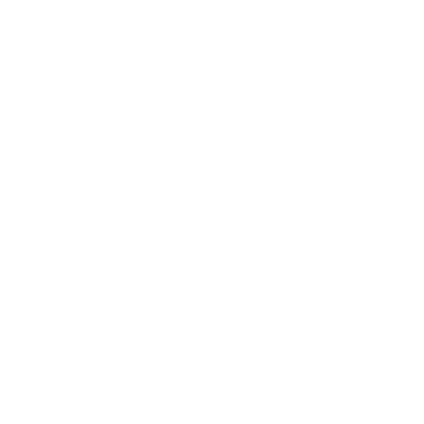 Bullet point - 1-2.png