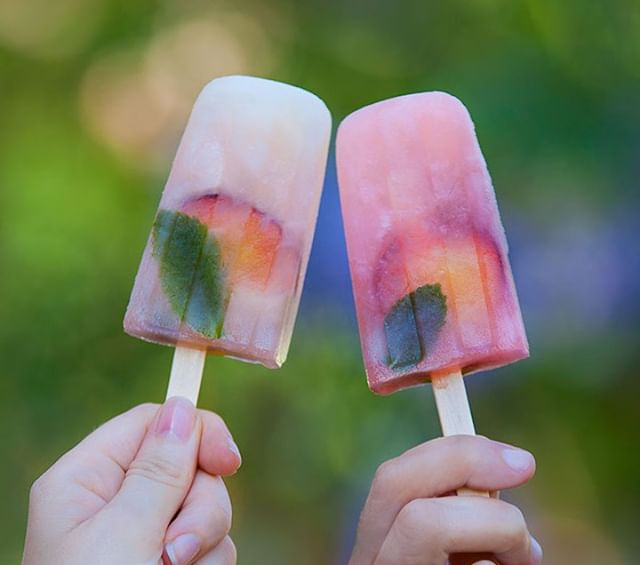 Picture this: you&rsquo;re lounging by the pool, soaking up those #OOO vibes, cooling down with an adult popsicle (read: PLUOT mojito heaven). Care to drift off into a summer daydream? Head to our blog to grab some fresh-for-summer stone fruit recipe