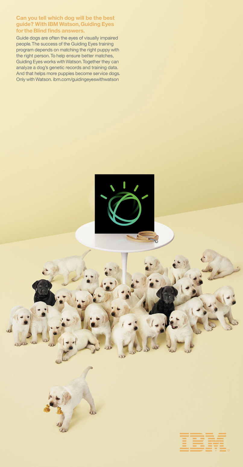   WATSON + GUIDING EYES FOR THE BLIND:  Print Ads for The Wall St. Journal &amp; NY Times   Photographer/Director:  Chris Collins 