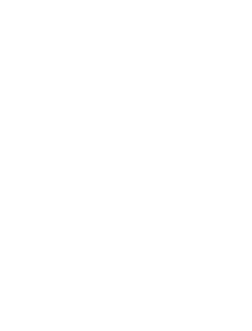 Trinnov Interview
