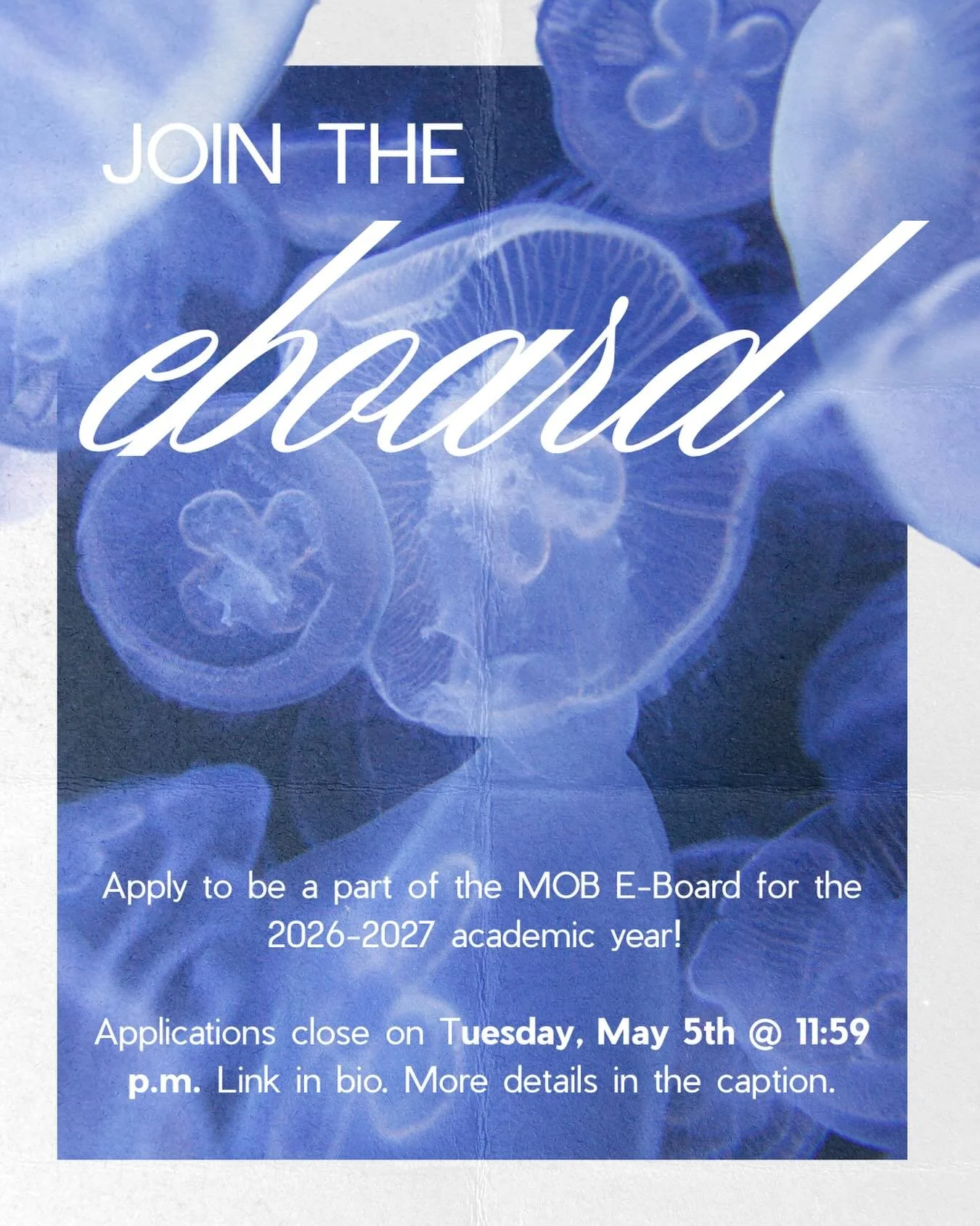 Ready to take the next step with MOB? 🌟 Applications are now open to join our 2026&ndash;2027 E-Board! We&rsquo;re looking for a VP of Fundraising, VP of Event Planning, VP of Networking, VP of Mentorship, VP of Media, and VP of Marketing ‼️

Apply 