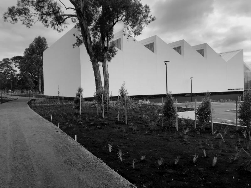 NCH.png