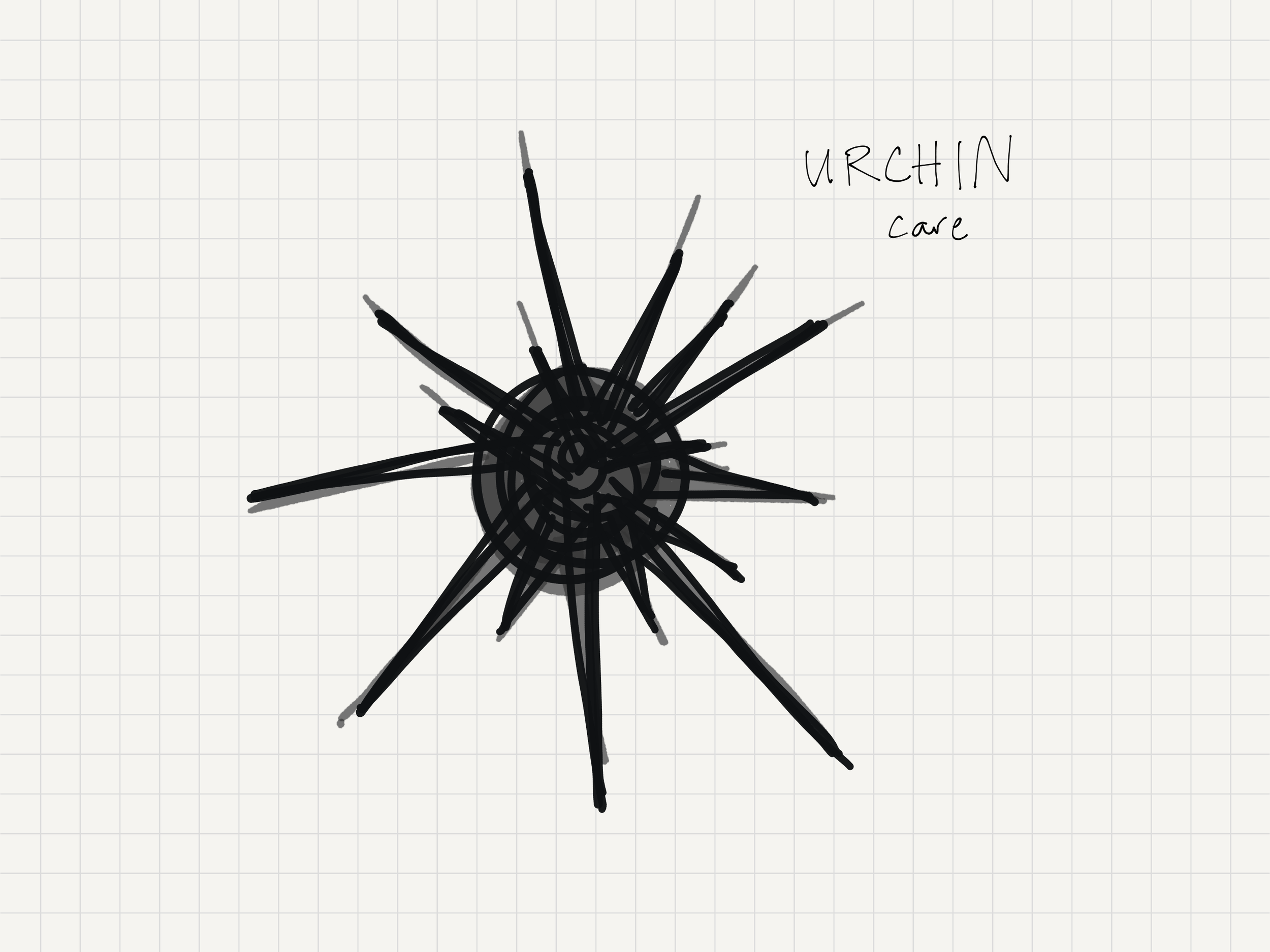 Urchin Care