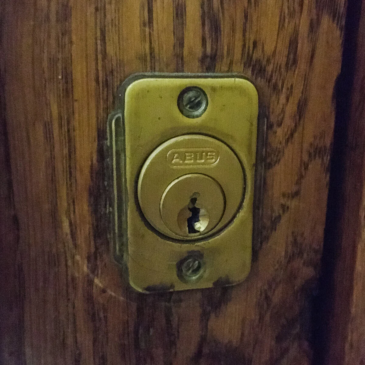 The Culprit. Based on my research, ABUS is a very good German lock.