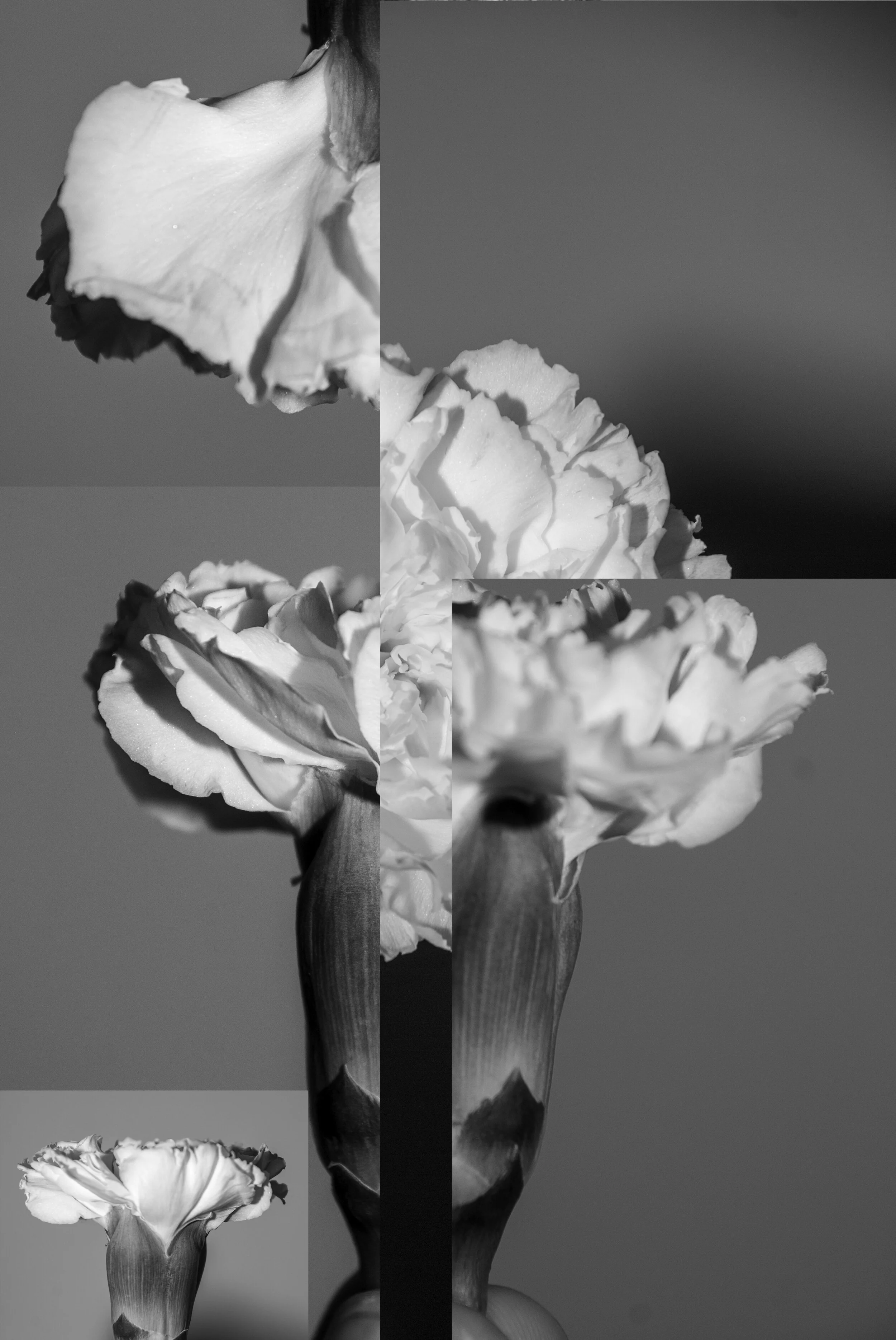 Long_04.jpg