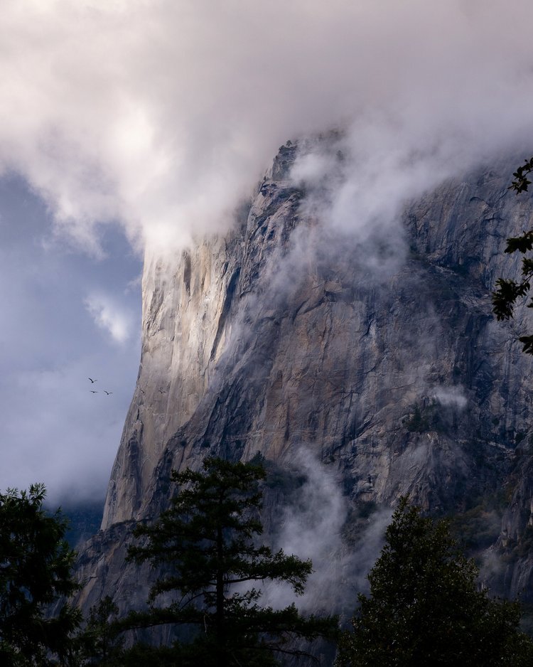 Yosemite_ElCap_Bird_Update.jpg