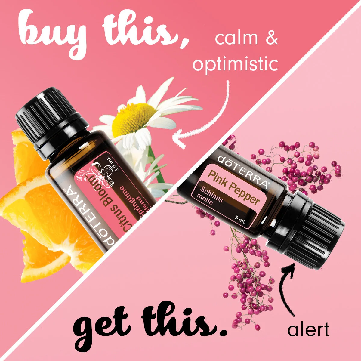 BOGO Day 3 - April, 22nd Only!