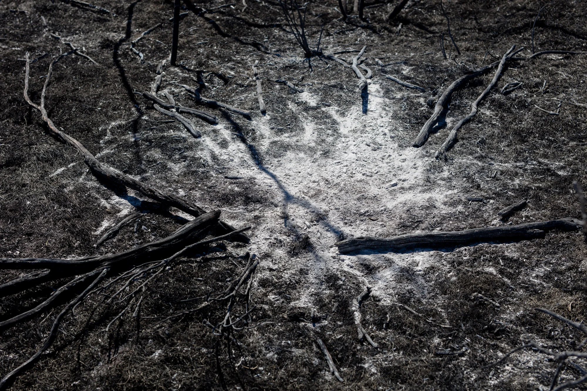 Ash, Northern Territory, 2016 Pigment print on platine fibre paper, 85x130cm