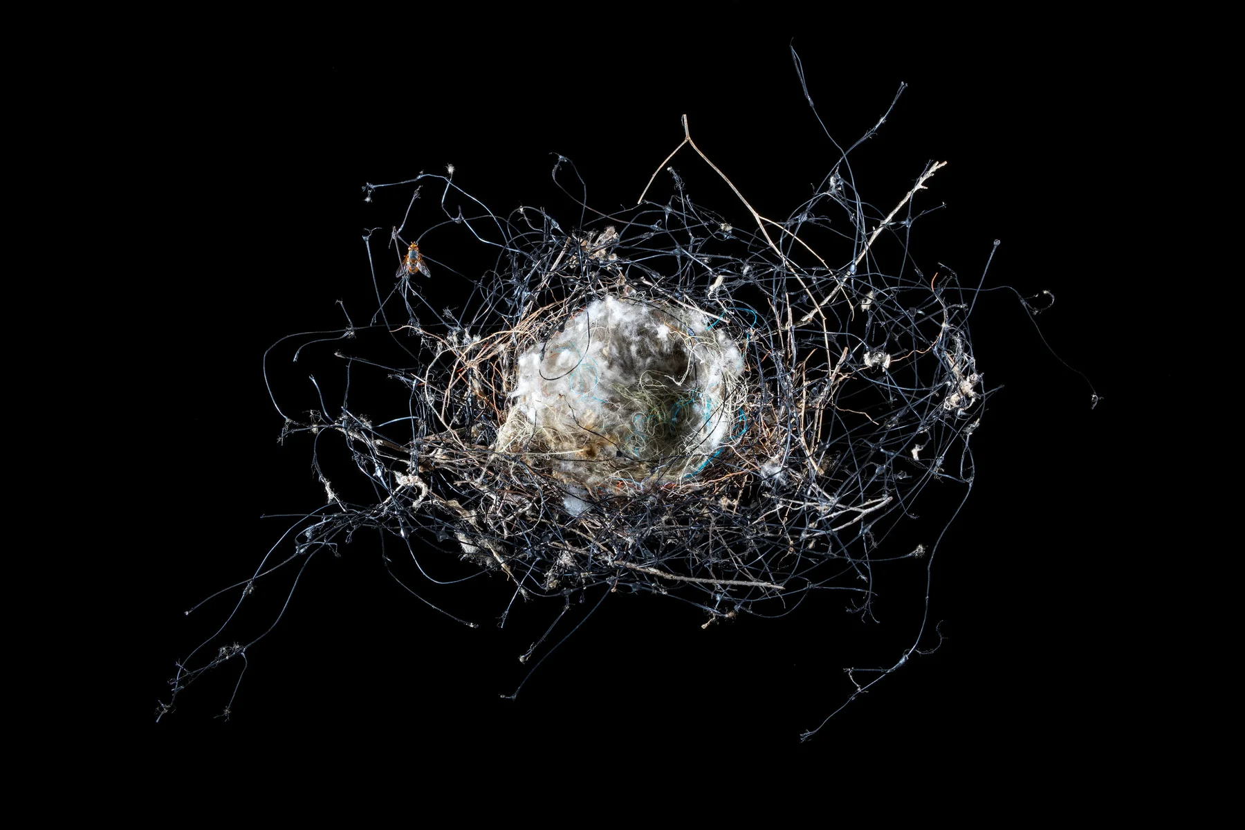 Found bird's nest of plastic netting and other unnatural fibres , 2016 Pigment print on platine fibre paper, 85x120cm