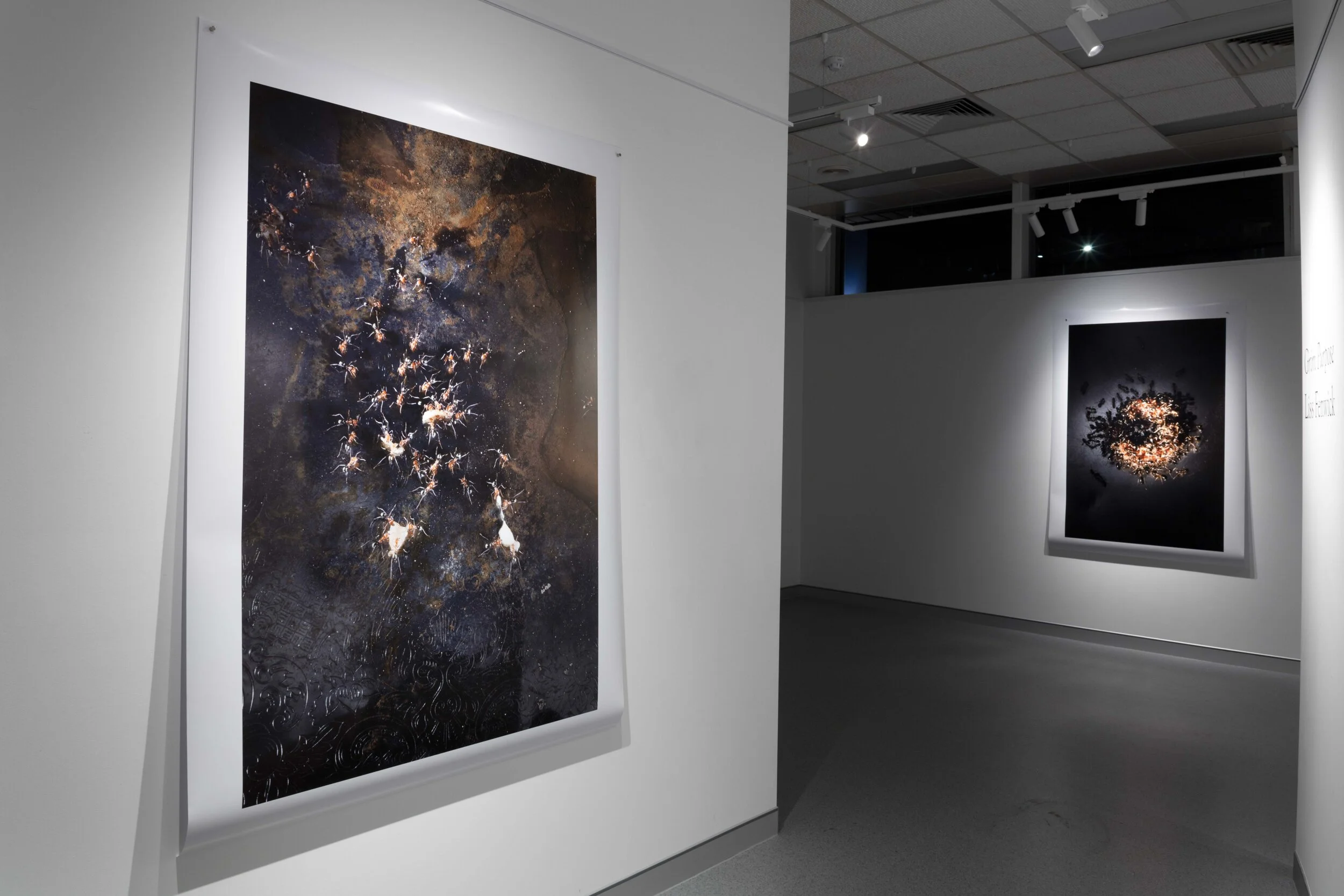  Grim Purpose, DVA Gallery, 2019  