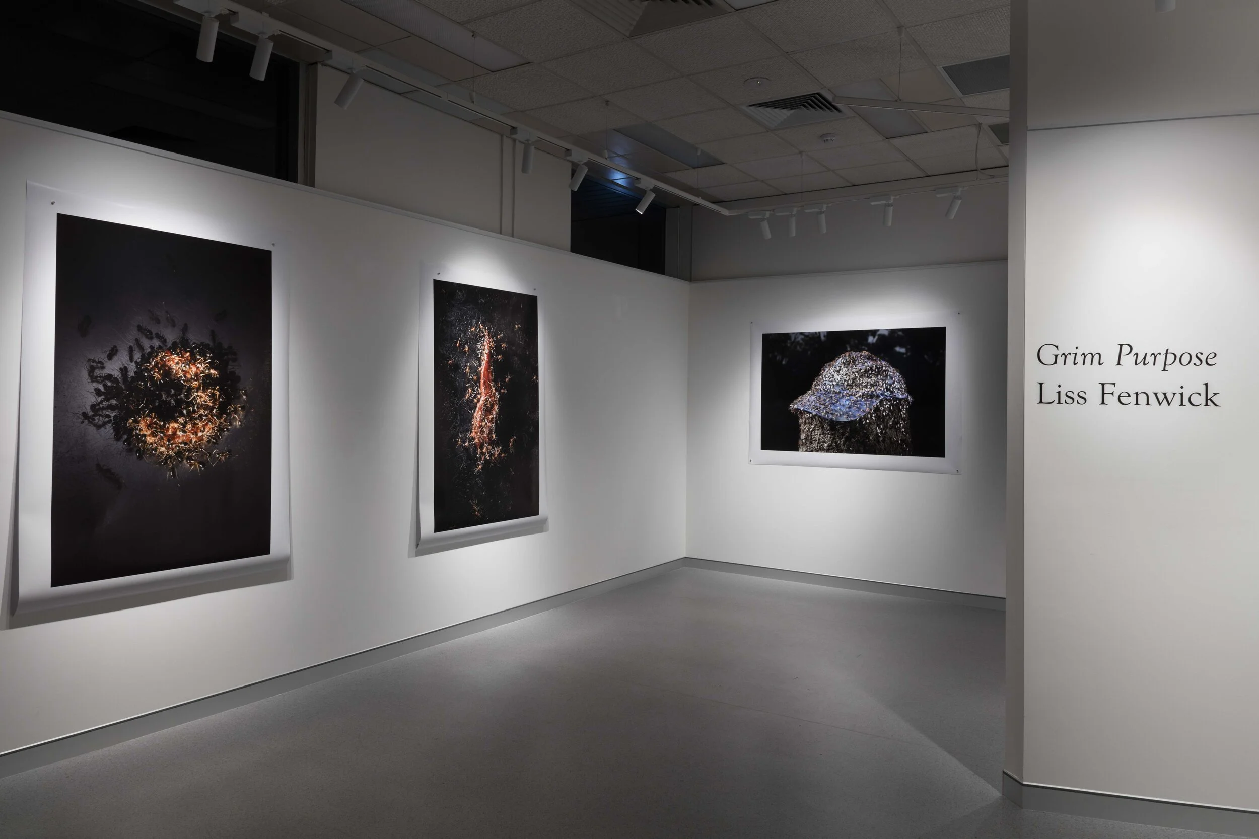 Grim Purpose install .JPG