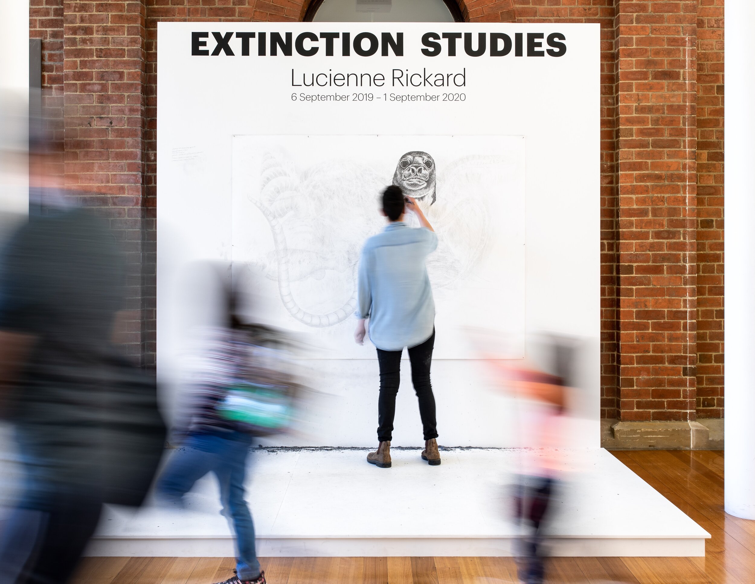 Extinction Studies.jpeg