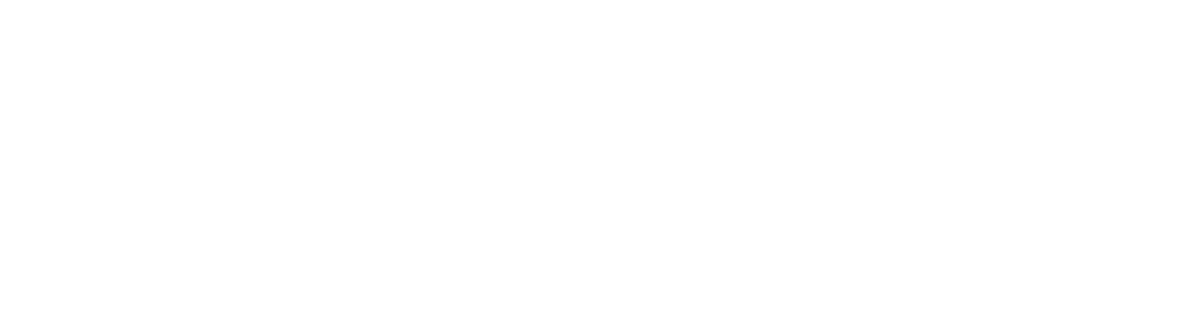 The Bar X Project