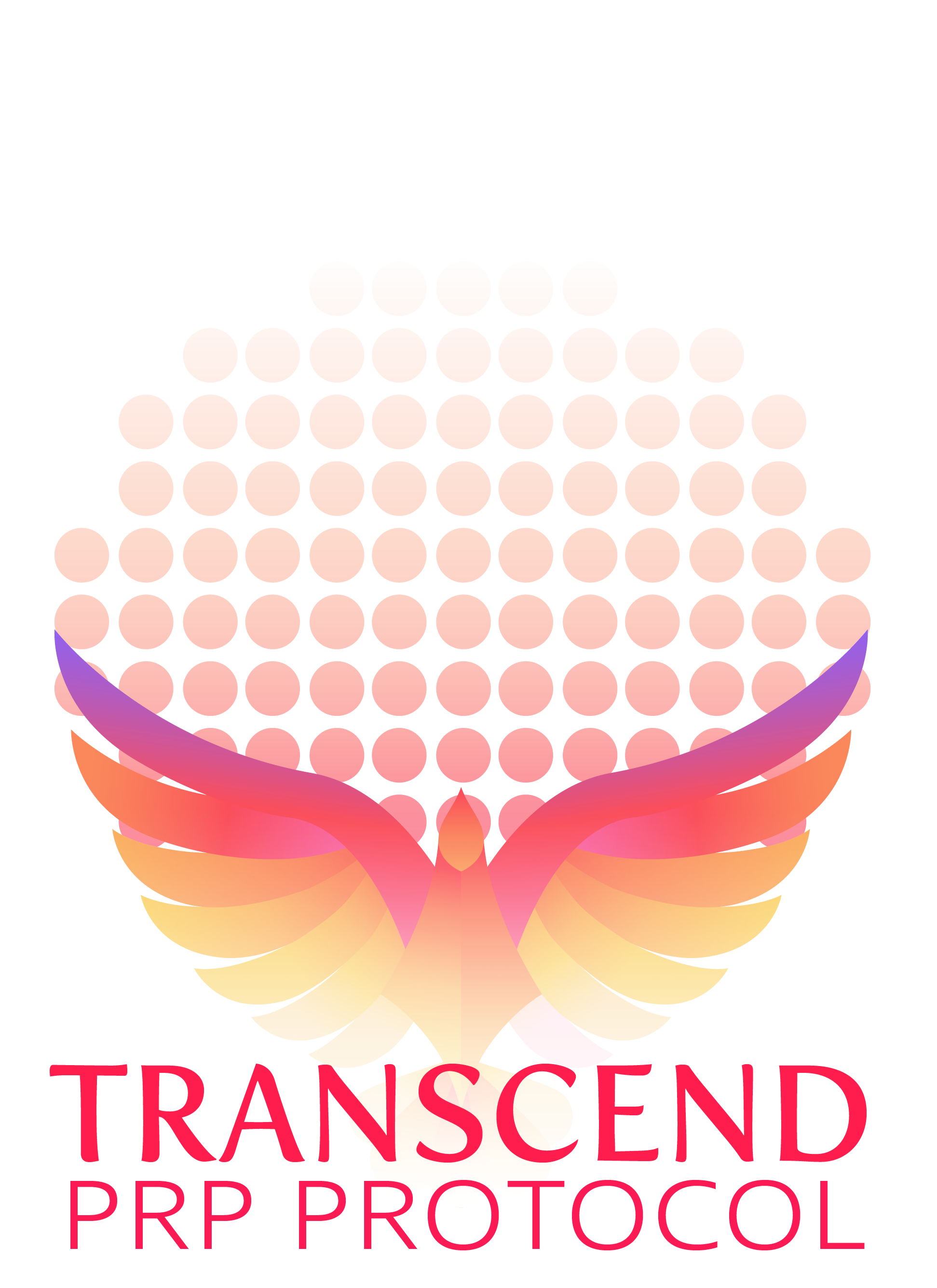 Transend Logo.png