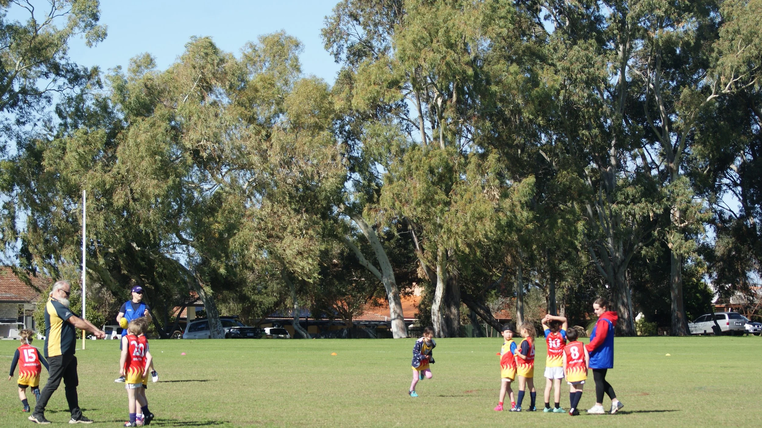 Rookies Series 2026