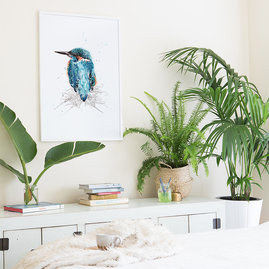 australian bird illustration, native australian birds, bird art prints, wildlife illustration, watercolour bird painting, nature wall art, australian wildlife art, botanical illustration, illustrated birds, giclée art prints, australian artist