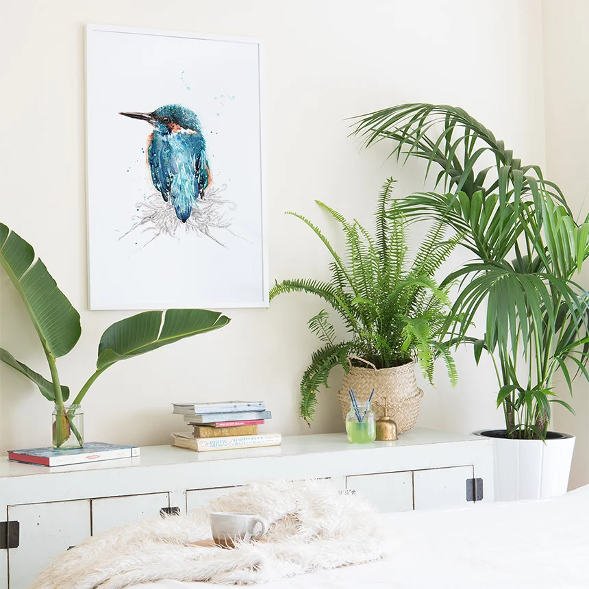 SherylCole_AzureKingfisher-wallart860.jpg