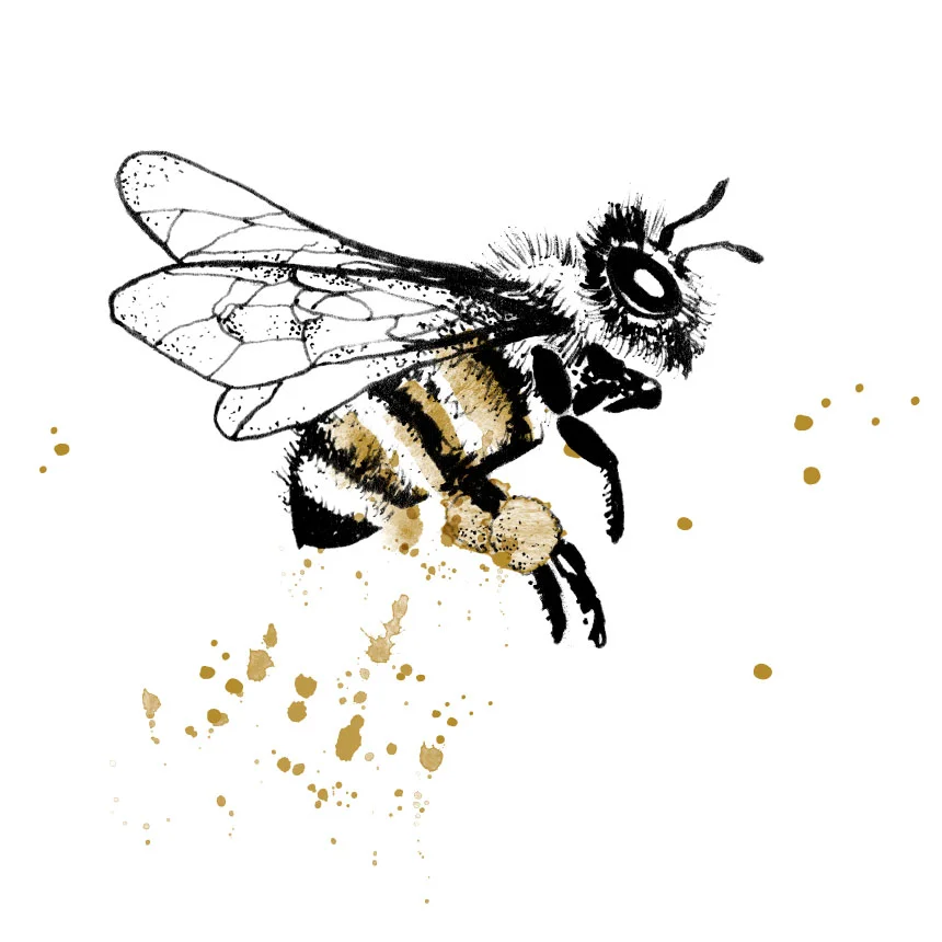 SherylCole_Bee860.jpg