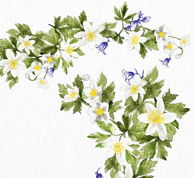 SherylCole_BotanticalWeddingInvites_thumb.jpg