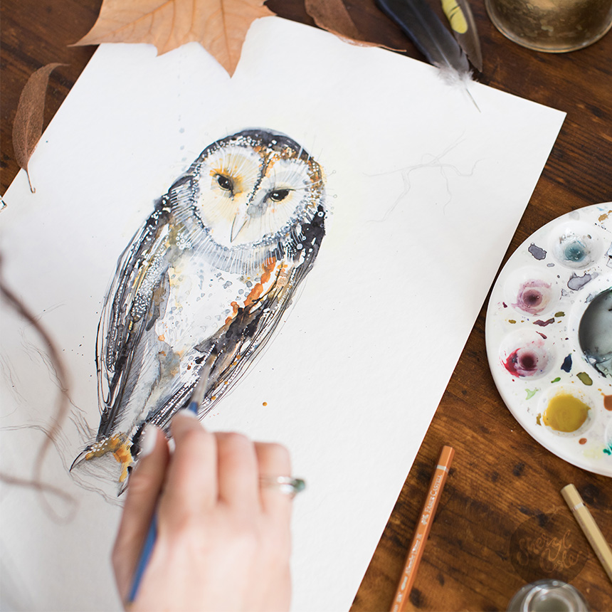 australian bird illustration, native australian birds, bird art prints, wildlife illustration, watercolour bird painting, nature wall art, australian wildlife art, botanical illustration, illustrated birds, giclée art prints, australian artist