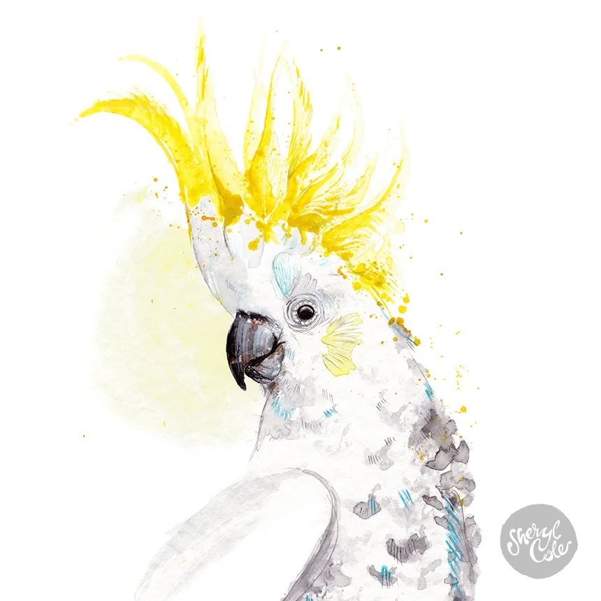 australian bird illustration, native australian birds, bird art prints, wildlife illustration, watercolour bird painting, nature wall art, australian wildlife art, botanical illustration, illustrated birds, giclée art prints, australian artist