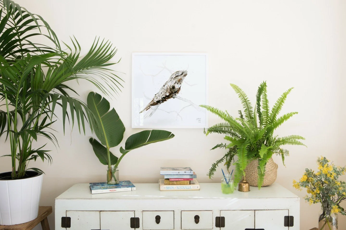 Tawnies have officially been named Australia’s Bird of the Year for 2025! 🦉✨ Tawny Frogmouths have a special place in my heart, especially since I’ve had the pleasure of having two of them in my backyard this year. They bring such a deli