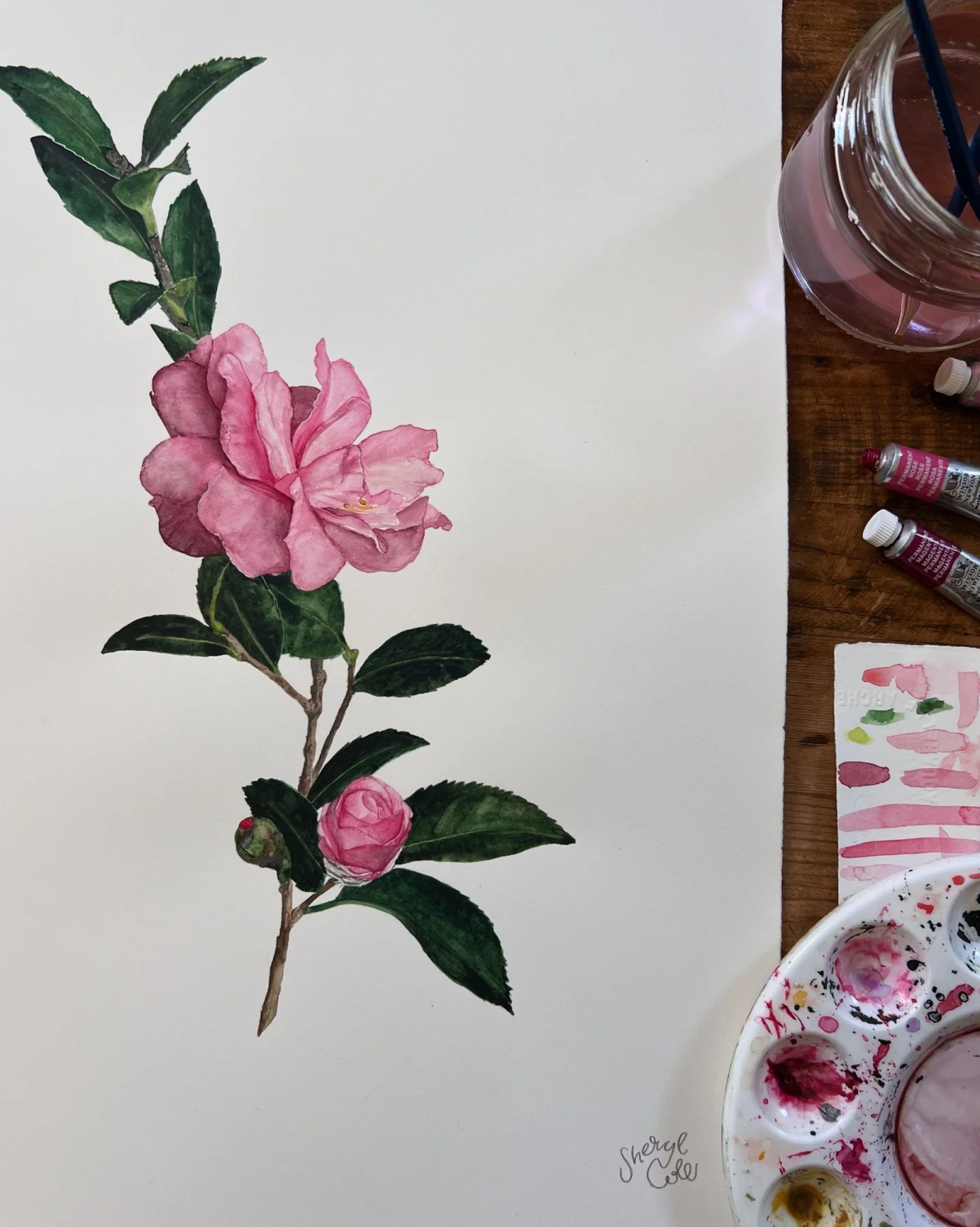 A closer look at the final &lsquo;Camellia&rsquo; artwork painted by the yours truly and used by the UNE PIECE team to create their unique Vintage Romantique print.

#unepeice #sherylcole #botanicalillustration #watercolorartist #camellia