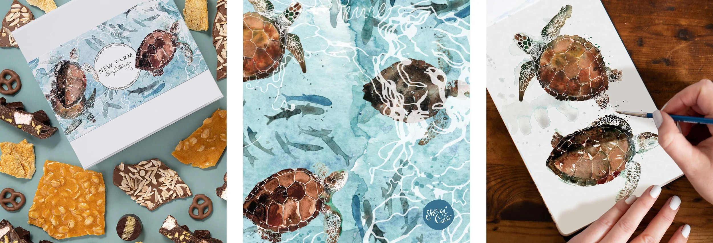 Hand-painted watercolour sea turtle packaging illustration created for New Farm Confectionery Father's Day seasonal gift box campaign.