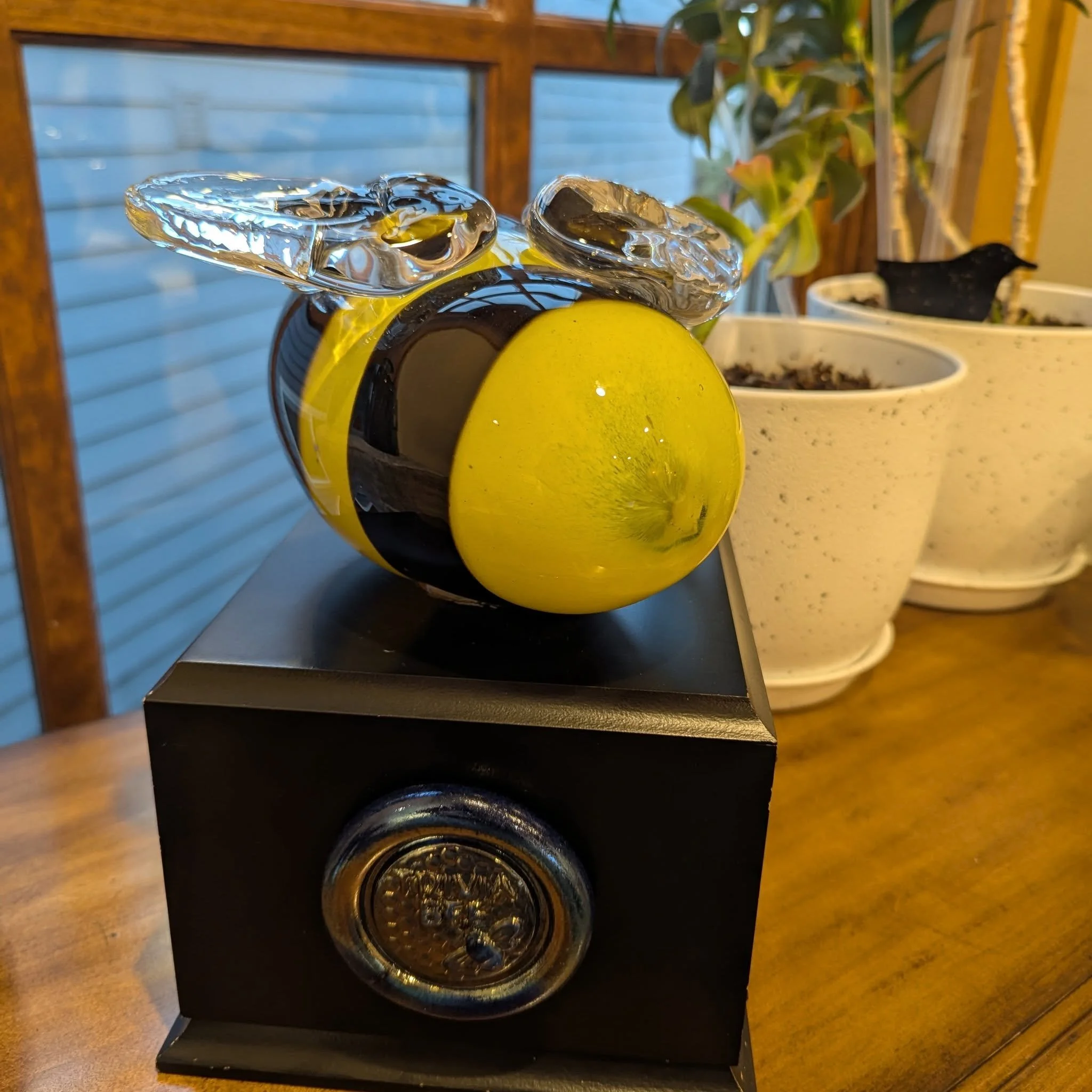 The @supportpclf Trivia Bee trophy is home! Next time you come by the NxNW offices you'll find it in our conference room. We'll have it until the 2026 Trivia Bee and you can count on us defending our title. See you then!

#trivia #tacomaglassblowers 