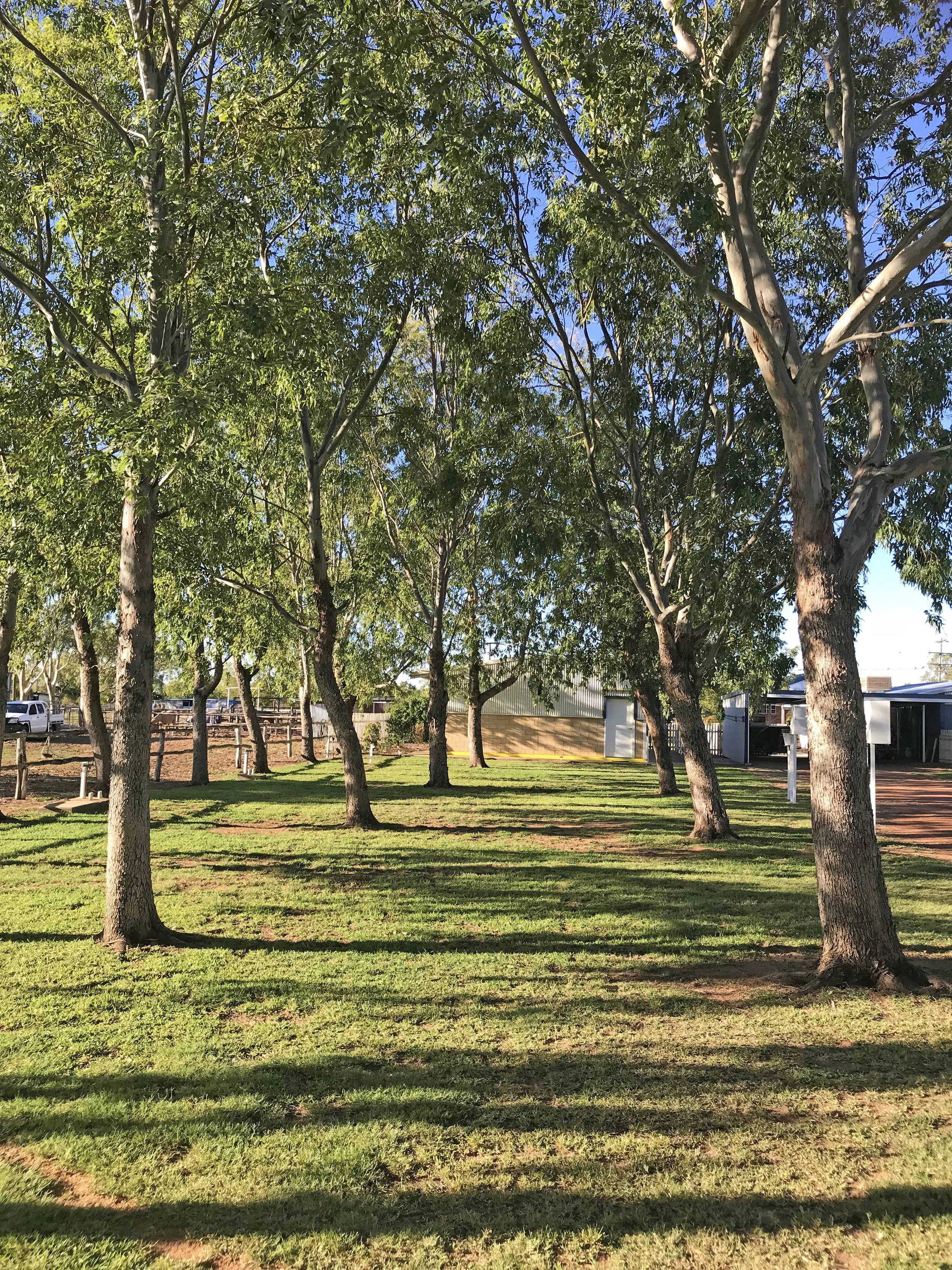 Caravan Park