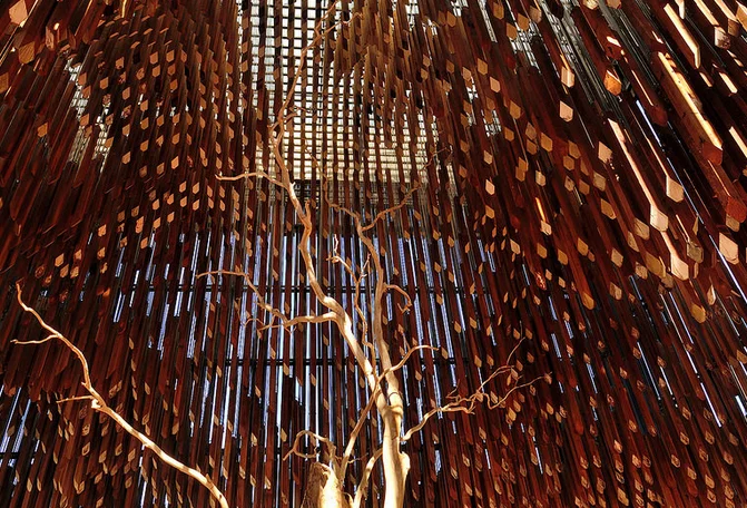 Tree of Knowledge.jpg