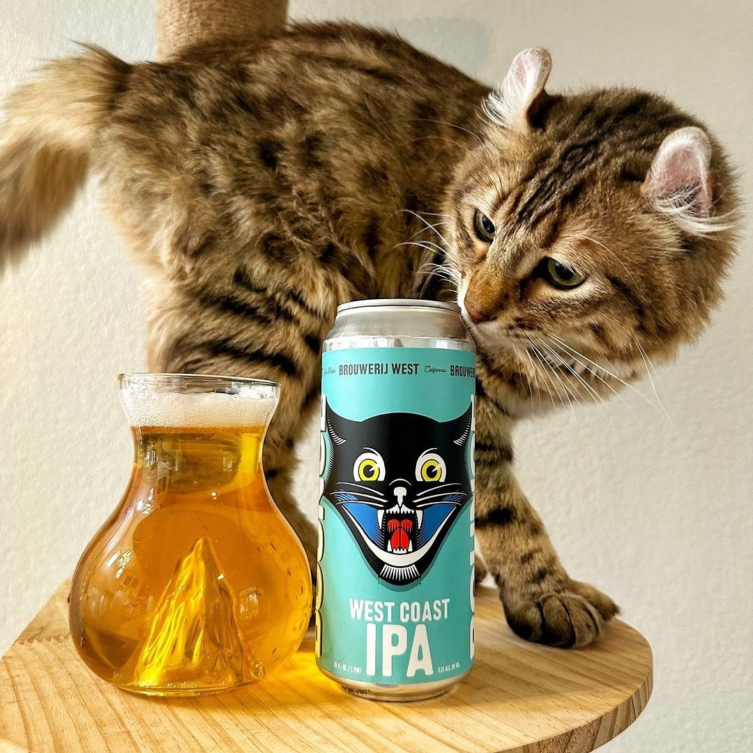 What can we say? We&rsquo;re cat people 🐱 
(PC: @vegasbeerd)
