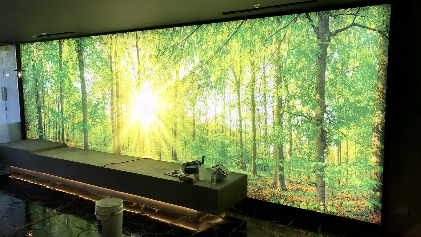 LM Arden illuminated wall 1600x1200.jpg