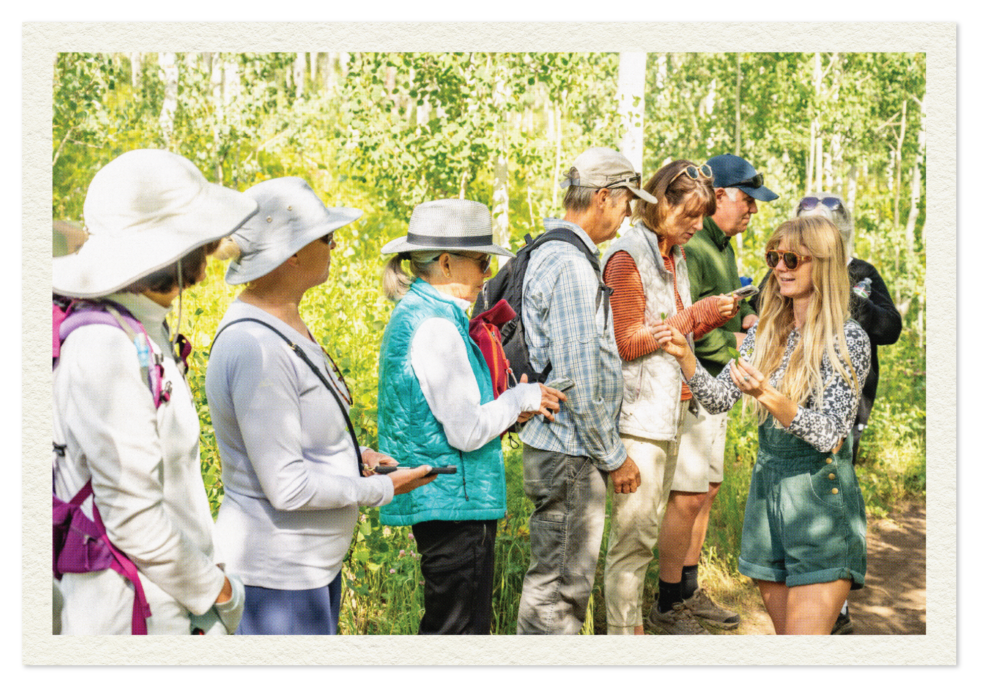 Wine and Food Festival Foraging Hike